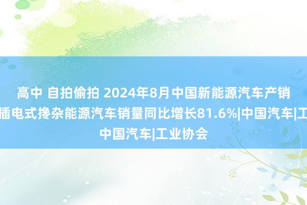 高中 自拍偷拍 2024年8月中国新能源汽车产销情况：插电式搀杂能源汽车销量同比增长81.6%|中国汽车|工业协会