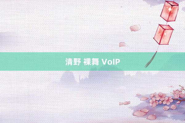 清野 裸舞 VoIP