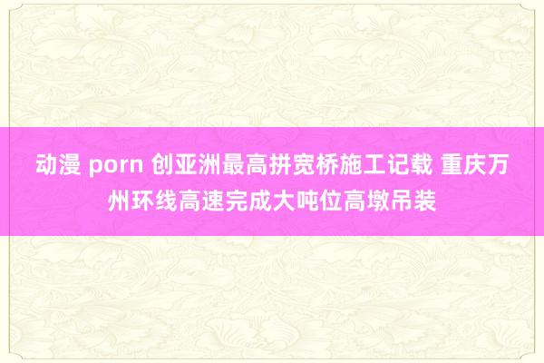 动漫 porn 创亚洲最高拼宽桥施工记载 重庆万州环线高速完成大吨位高墩吊装