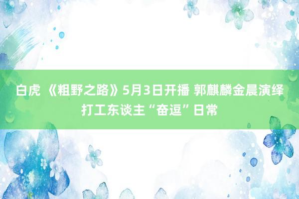 白虎 《粗野之路》5月3日开播 郭麒麟金晨演绎打工东谈主“奋逗”日常